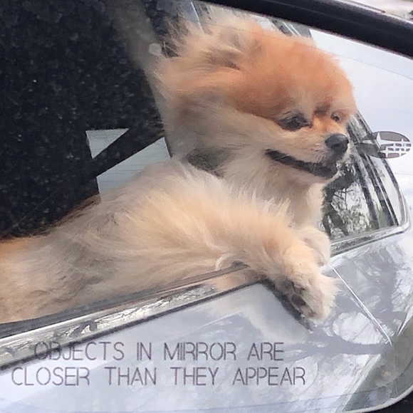 Meet your Posher, Julie - Picture 5 of 5